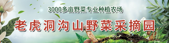 老虎洞溝山野菜采摘園