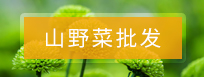 撫順老虎洞溝山野菜山莊--山野菜批發